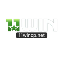 11wincpnet 