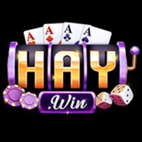 HAYWIN 14COM