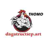 ĐÁ GÀ TRỰC TIẾP ART 