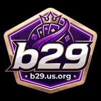 B29 