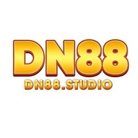 dn88 studio