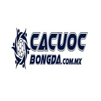 CÁ CƯỢC BÓNG ĐÁ 