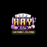 haywin1co com