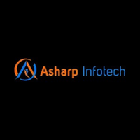 softwaredevelopment company