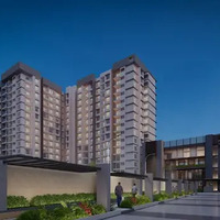 Purva Northenlights