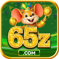 65z org