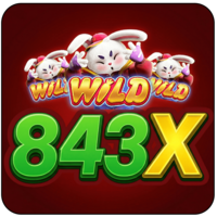 843x org