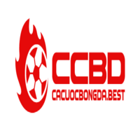 cacuocbongdabest 