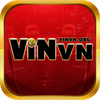 vinvn org