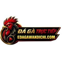 edagawakoichi com