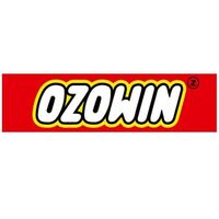 Ozowin Net