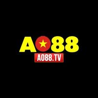 AO 88