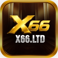 x66 ltd