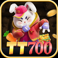 tt700 