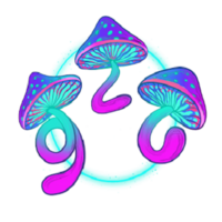 Magic Mushrooms