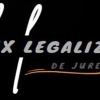 lex legalizer