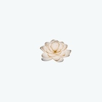 Lotus @ Queensway  Medical
