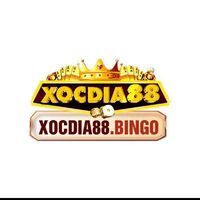 Xocdia88 Bingo 