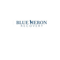 Blue Heron  Recovery