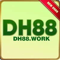 dh88  work