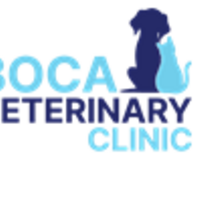 bocaveterinary clinic