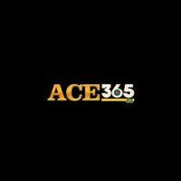 ace 365