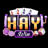 HAYWIN 