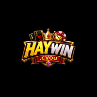 HAYWIN 